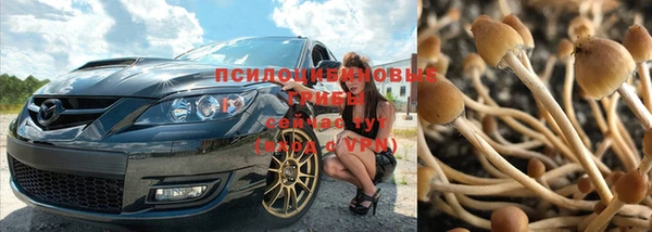 дистиллят марихуана Богданович